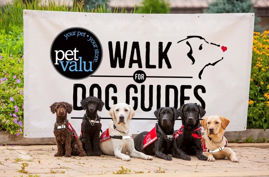 Walk for Dog Guides - 2.jpg